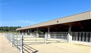 MEZAGRI - Stabulation Libre pour chevaux - Vue Extérieure